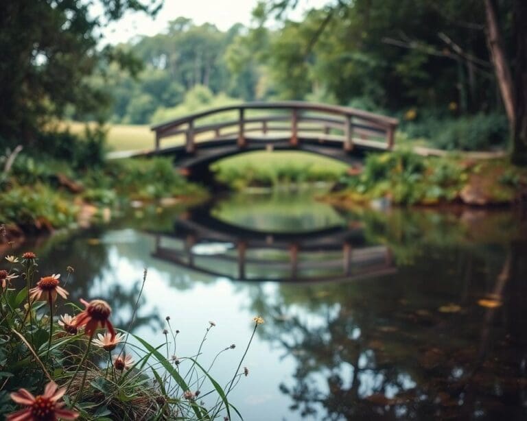 Hoe creëer je een natuurlijke beauty vibe?
