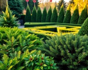 groenblijvende planten