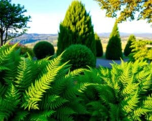 groenblijvende planten